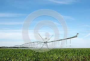 Watering machine on a corn field