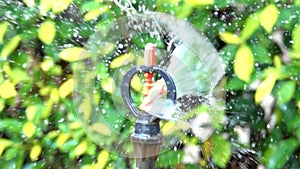 Watering of nozzle sprinkler slow motion on morning and tree background.