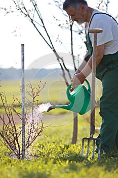 Watering orchard/garden