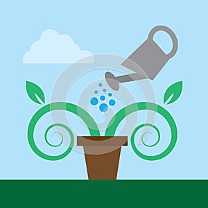 Watering Plant