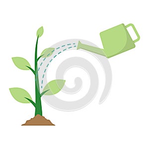 Watering plant flat design vector illustration