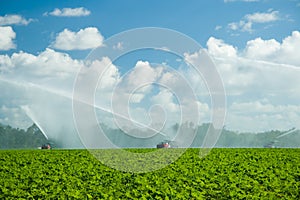 Watering plantation