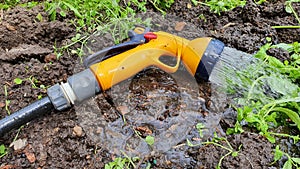 Watering plants using a hose and water spray