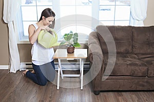 Watering The Plants in the living room