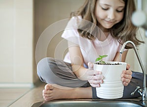 Watering pot plants in the kitchen sink pouring. Child holding young plant in hands. Caring for a new life. Earth day concept.