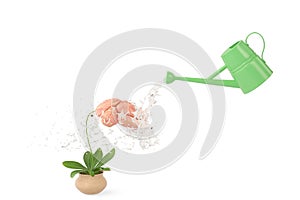 Watering pots sprinkle water to plants and brain. 3D illustration