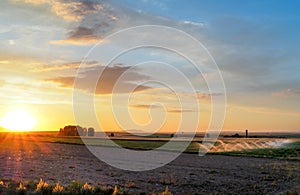 Watering process in the field at sunset. irrigation of crops grown in the field