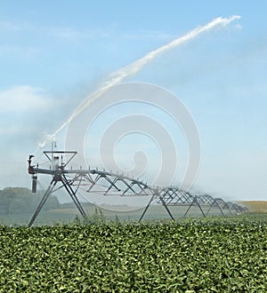 Watering a Soybean Crop