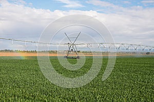 Watering with Sprinkler Irrigation System