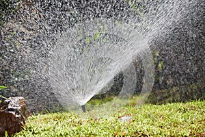 Watering or sprinkling grass lawn