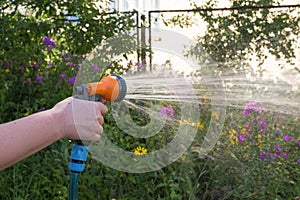 Watering summer flower garden with an adjustable shower