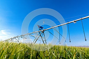 Watering system in the field. An irrigation pivot watering a field