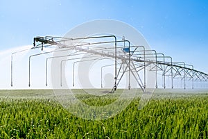 Watering system in the field. An irrigation pivot watering a field