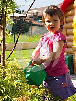 Watering the trees