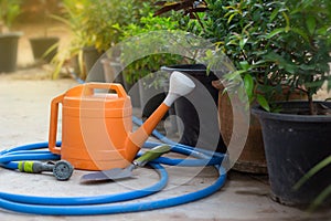 Watering and trovel for plant or tree at garden