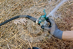 Watering your lawn with a lawn sprinkler installation by a professional technician who is experienced in landscaping
