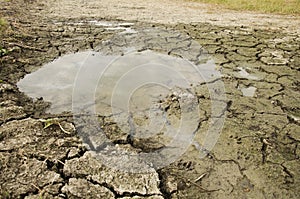 Waterless in puddle at desert land because drought disaster