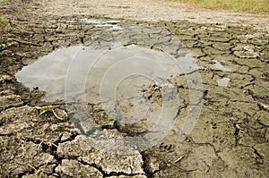 Waterless in puddle at desert land because drought disaster photo