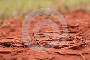 Waterless sand texture photo