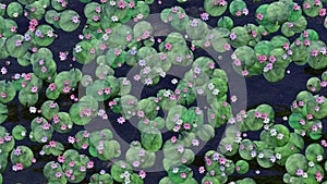 A waterlily blossom in pond nenuphar and water 3D illustration