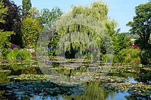 Waterlily Gardens (Giverny)