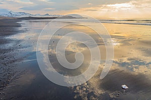 Waterline at Brimilsvellir beach with shells and reflections of