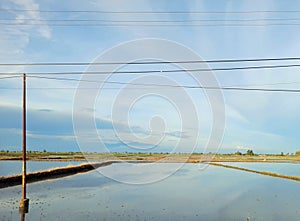 waterlogged fields photo