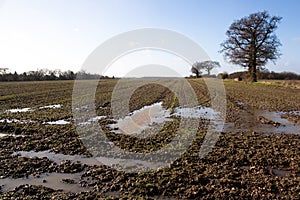 Waterlogged And Muddy Field