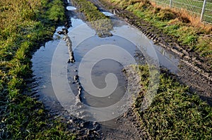 the waterlogged soil in the park does not receive