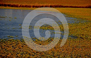 the waterlogged soil in the park does not receive water from the spring rain.