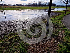 waterlogged soil in the park does not receive water from the spring rain.