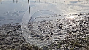 waterlogged soil in the park does not receive water from the spring rain.