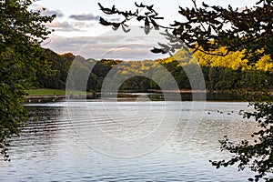 Waterloo Lake at Roundhay Park Leeds in Autumn