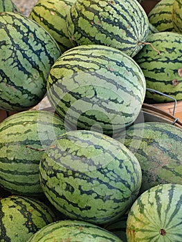 Watermelon