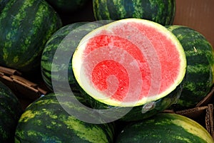 Watermelon