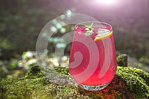 Watermelon alcoholic drink sangria or cruchon. Pink cocktail drink in glass outdors on wood with moss. Scenic still life with