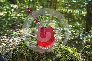 Watermelon alcoholic drink sangria or cruchon. Pink cocktail drink in glass outdors on wood with moss. Scenic still life with