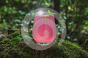 Watermelon alcoholic drink sangria or cruchon. Pink cocktail drink in glass outdors on wood with moss. Scenic still life with