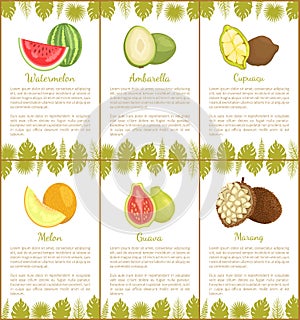 Watermelon Ambarella, Cupuacu, Melon, Guava Posters