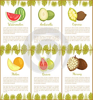 Watermelon Ambarella, Cupuacu, Melon, Guava Posters photo