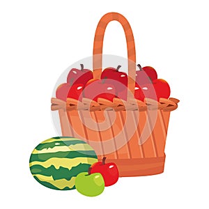 watermelon apples fresh food icon vector ilustrate