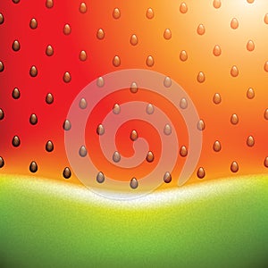 Watermelon background