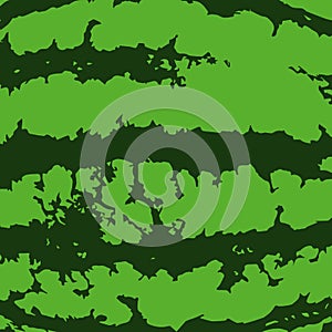 Watermelon bright green texture. Green summer pattern