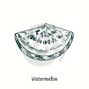 Watermelon (Citrullus lanatus) cut slice. Ink black and white doodle drawing