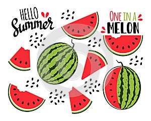 Watermelon collection. Watermelon slices and seeds. Vector illustration