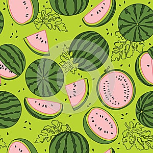Watermelon Colorful Fruit Vector Seamless Pattern on Green