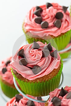 Watermelon cupcakes, pink and green with choc chips