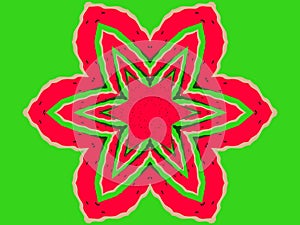 Watermelon drawn in the form of a flower on a green background