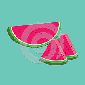 Watermelon flat style icon