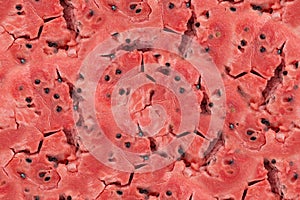 Watermelon flesh closeup macro seamless texture background